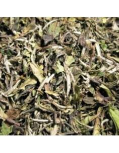 Te Blanco Pai Mu Tan Aromatizado Golden Sunshine
