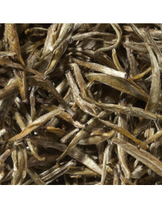 Te Blanco Pai Mu Tan Puro Yin Zhen First Grade (silver needle) 50gr