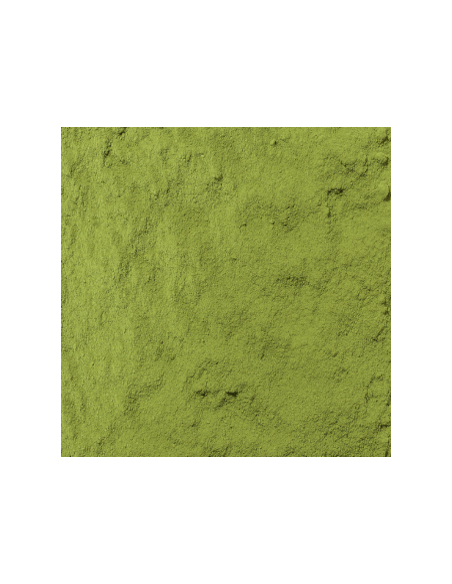 Te Verde De Japon Matcha Ujicha Bio Bolsa De 200gr