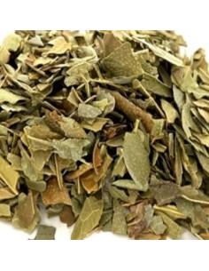Infusion Tradicional De Boldo