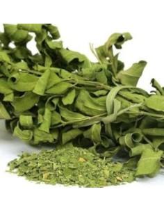 Infusion Tradicional De Moringa
