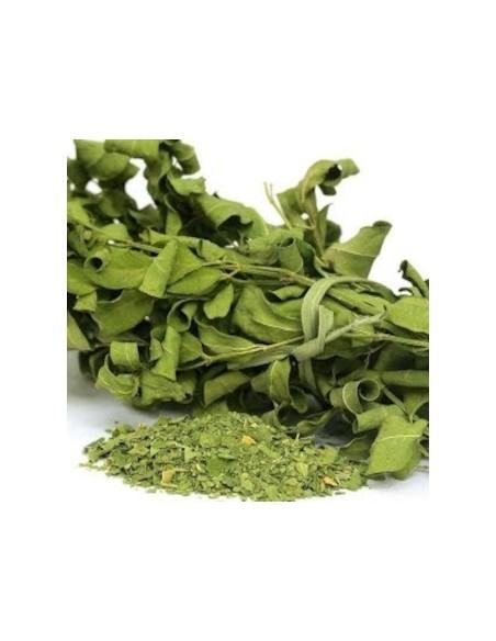 Infusion Tradicional De Moringa 50gr
