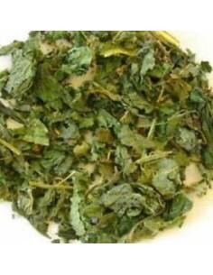 Infusion Tradicional De Ortiga