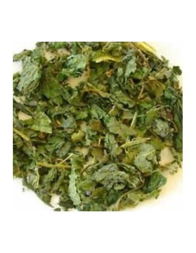 Infusion Tradicional De Ortiga Blanca