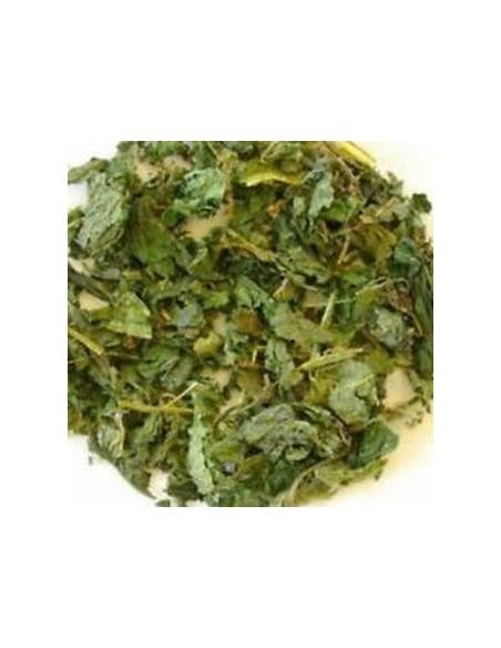 Infusion Tradicional De Ortiga