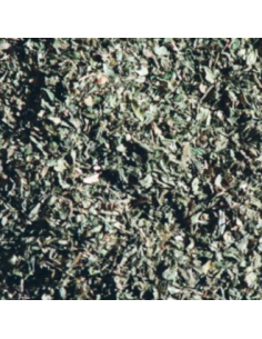 Infusion Tradicional De Menta Verde