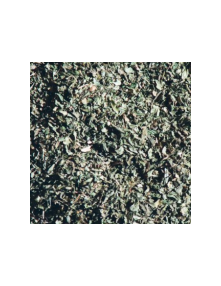 Infusion Tradicional De Menta Verde 50gr