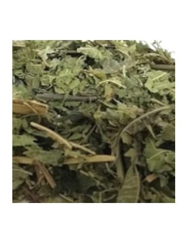 Infusion Tradicional De Hojas de Verbena