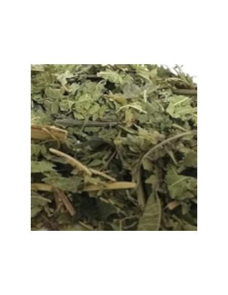 Infusion Tradicional De Verbena