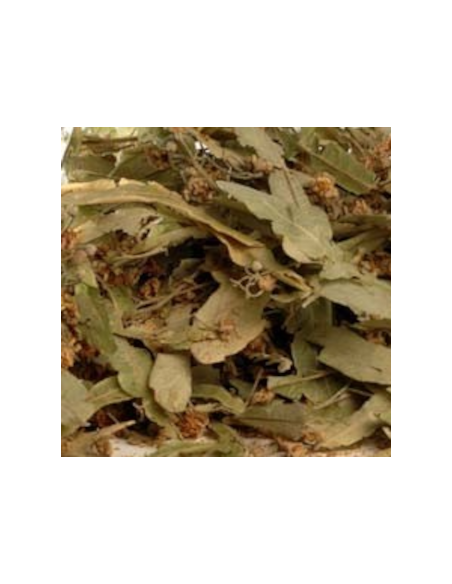 Infusion Tradicional De Tila