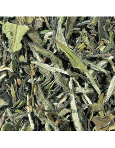 Te Blanco Pai Mu Tan Puro First Grade 50gr