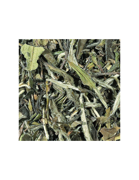 Te Blanco Pai Mu Tan Puro First Grade 50gr