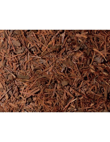 copy of Infusion De Mate A La Naranja Dulce 50gr