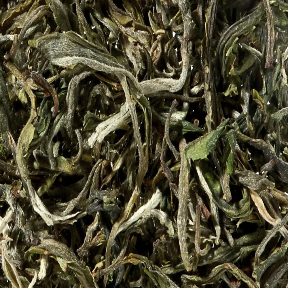 Té Amarillo China Kekecha